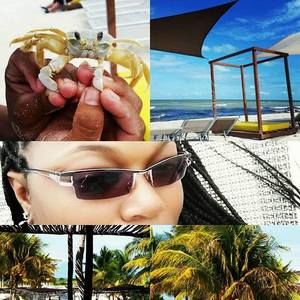 Meet your Posher, Robin